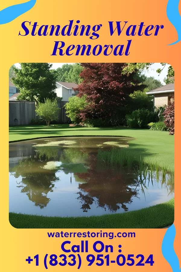 Standing Water Removal in Liverpool, IL